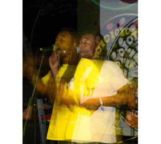 Cantante, musica, musica raggae