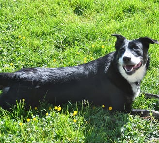 Thor prend le soleil !
