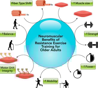 https://journals.physiology.org/cms/10.1152/physiol.00044.2018/asset/images/medium/phy0021904660001.