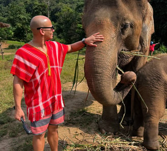 Elefante no santuário dos elefantes na Tailândia