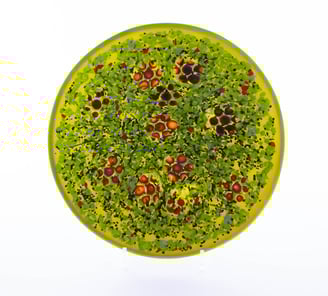 Summer Meadow - Dish