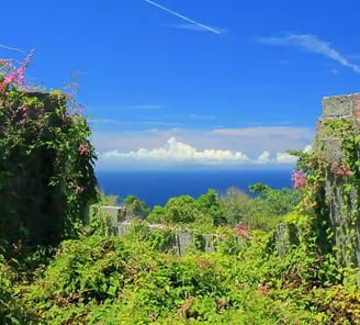 Saba island, featured on MyTripJunction.com travel blog.