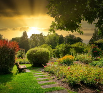 a bench in a park full of plants and flowers