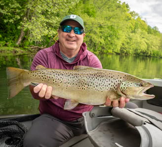 25.5" personal best brown trout! May 2025 South Holston River Fishing Report