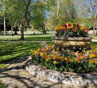 Parc rue de l'Aumônerie