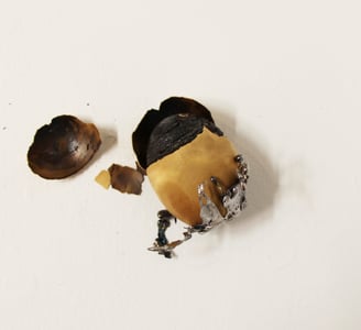 Jennifer Mae Wood, An Egg, Eggshell, lead, 2.5x1.5", 2015