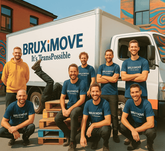 chauffeurs expérimentés, déménageurs attentifs, Un service professionnel, sans prise de tête