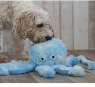 peluches pour chien