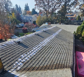 clean roof after soft washing