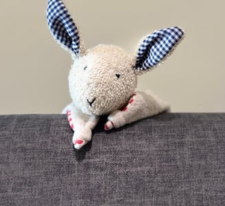 a stuffed animal rabbit with a blue checkered shirt