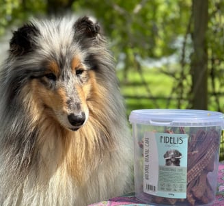 bâtonnets à mâcher pour chien