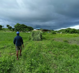 a man walking through a field with a pile of hay