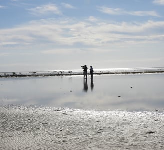 birding the bahamas flats