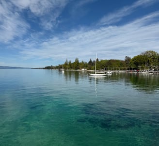 Geneva’s leading property search expert