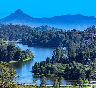 A beautiful valley with water flow and trees surrounding the water body