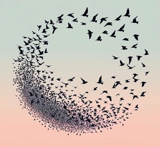 a flock of birds flying in a circle