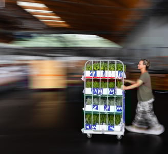 Catering von der Planung