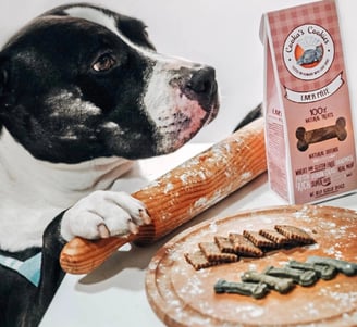 snacks naturels pour chien