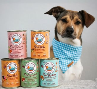nourriture humide pour chien