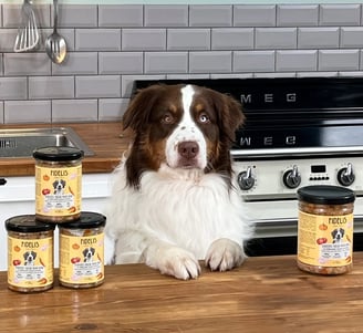 menus cuisinés pour chien