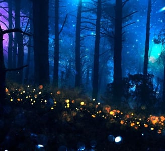 Floresta noturna com pontos luminosos