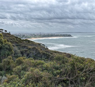 View of Shelly Beach from Crackneck Lookout