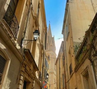 SEMINAIRE MONTPELLIER OLEIS TRAVEL
