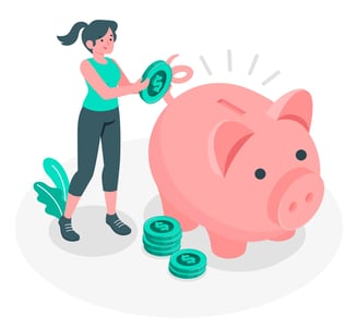 save money web design