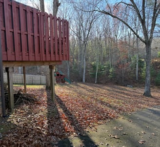 yard with leafs 