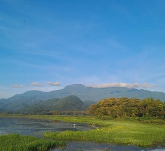 a lake with a mountain in the background