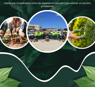 jardineritarragones un espera de jardineros profesionales