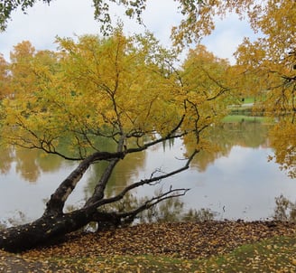 Herbstfarben
