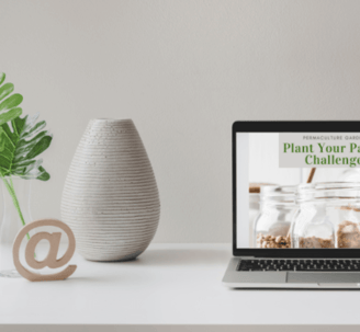 Laptop with Plant Your Pantry on it.