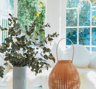 branches dans un vase devant une fenêtre donnant sur l'extérieur