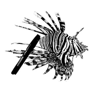 a lion fish in a pen and ink drawing