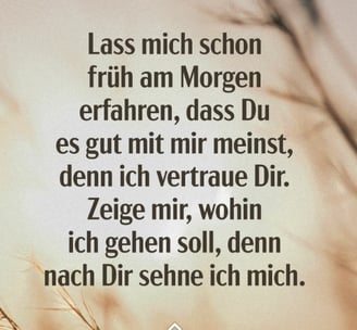 Zeige mir, wohin ich gehen soll, Gott