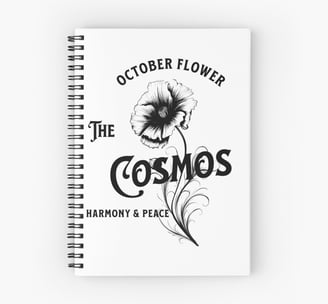 Cahier Spirale Cosmos