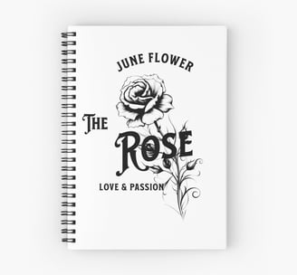 cahier spirale rose