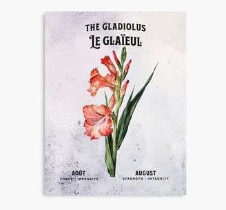 glaieul