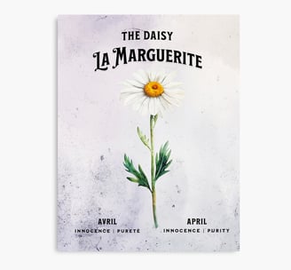 Marguerite