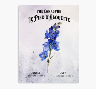 pied-d'alouette