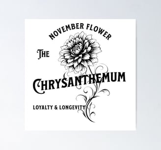 Poster Chrysanthème