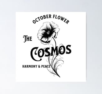 Poster Cosmos