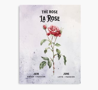 rose