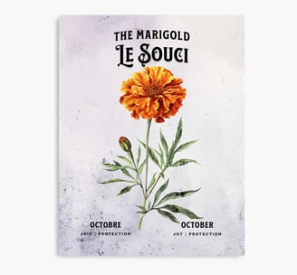 souci