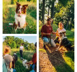 Alltagstraining für Hund und Mensch in der Hundeschule Takoda in Göttingen