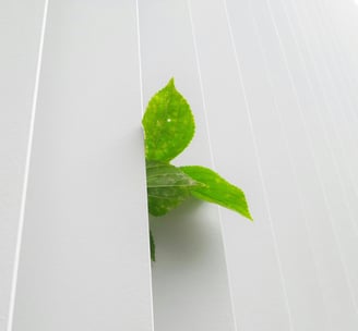 ri eco ecologie