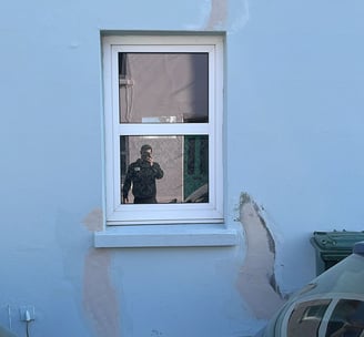 Mould treatment services- filling holes