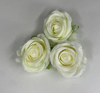NR cake design
