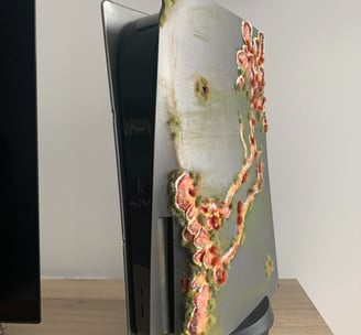 custom ps5 last of us france